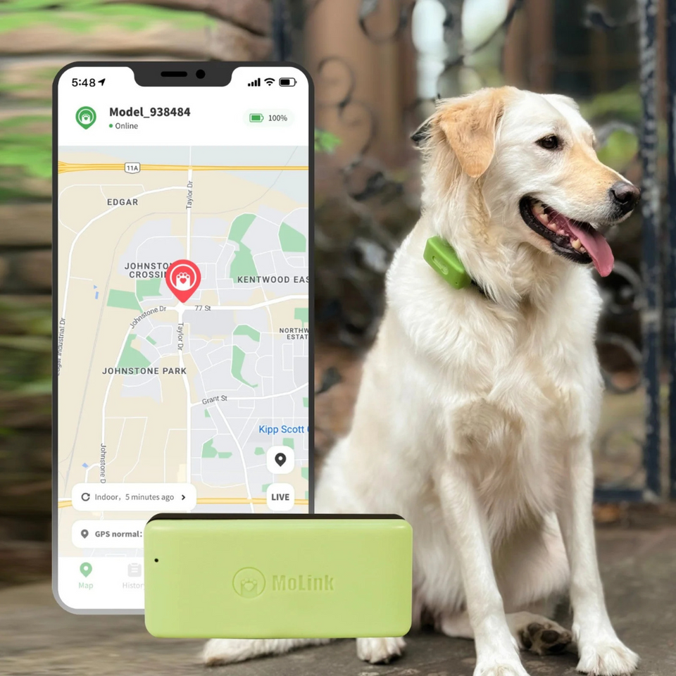 Smart Pet Tech Products