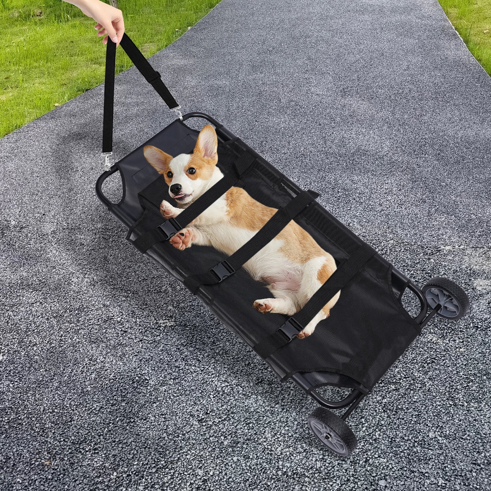 Adjustable Foldable Pet Stretcher Trolley