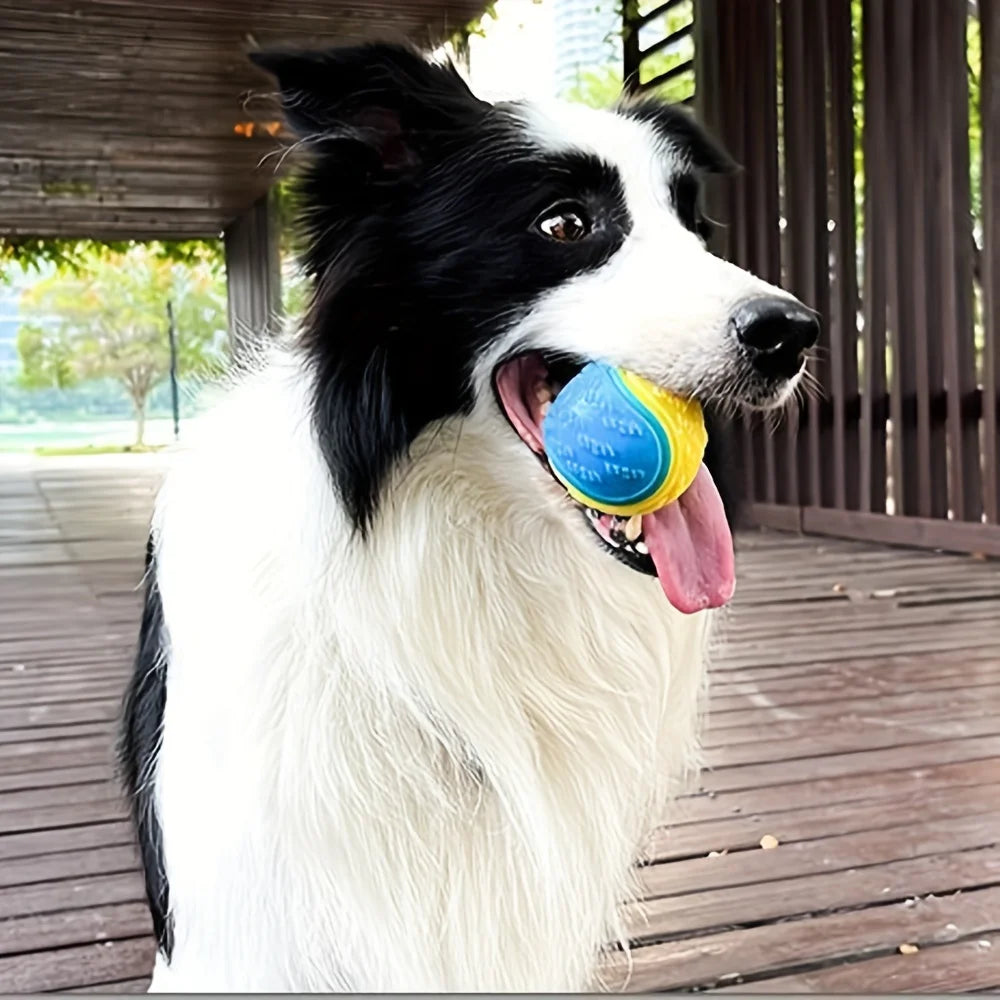 Durable Dog Chew Ball – Teeth Grinding Toy