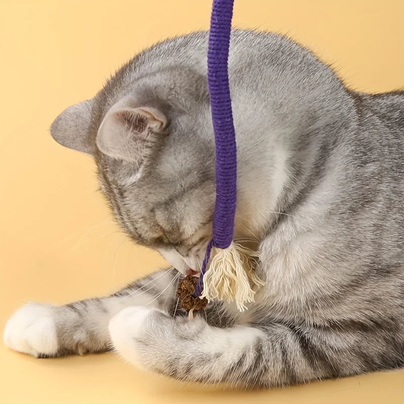 Durable Cat Bite & Teeth Grinding Rope Toy