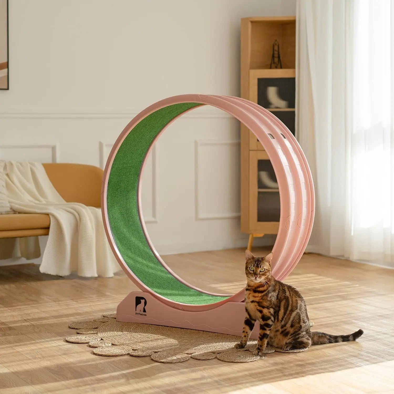 Cat Exercise Wheel with Carpeted Runway – Indoor Fitness