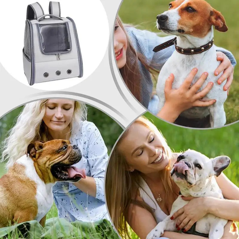 Breathable Pet Backpack Carrier for Cats & Dogs