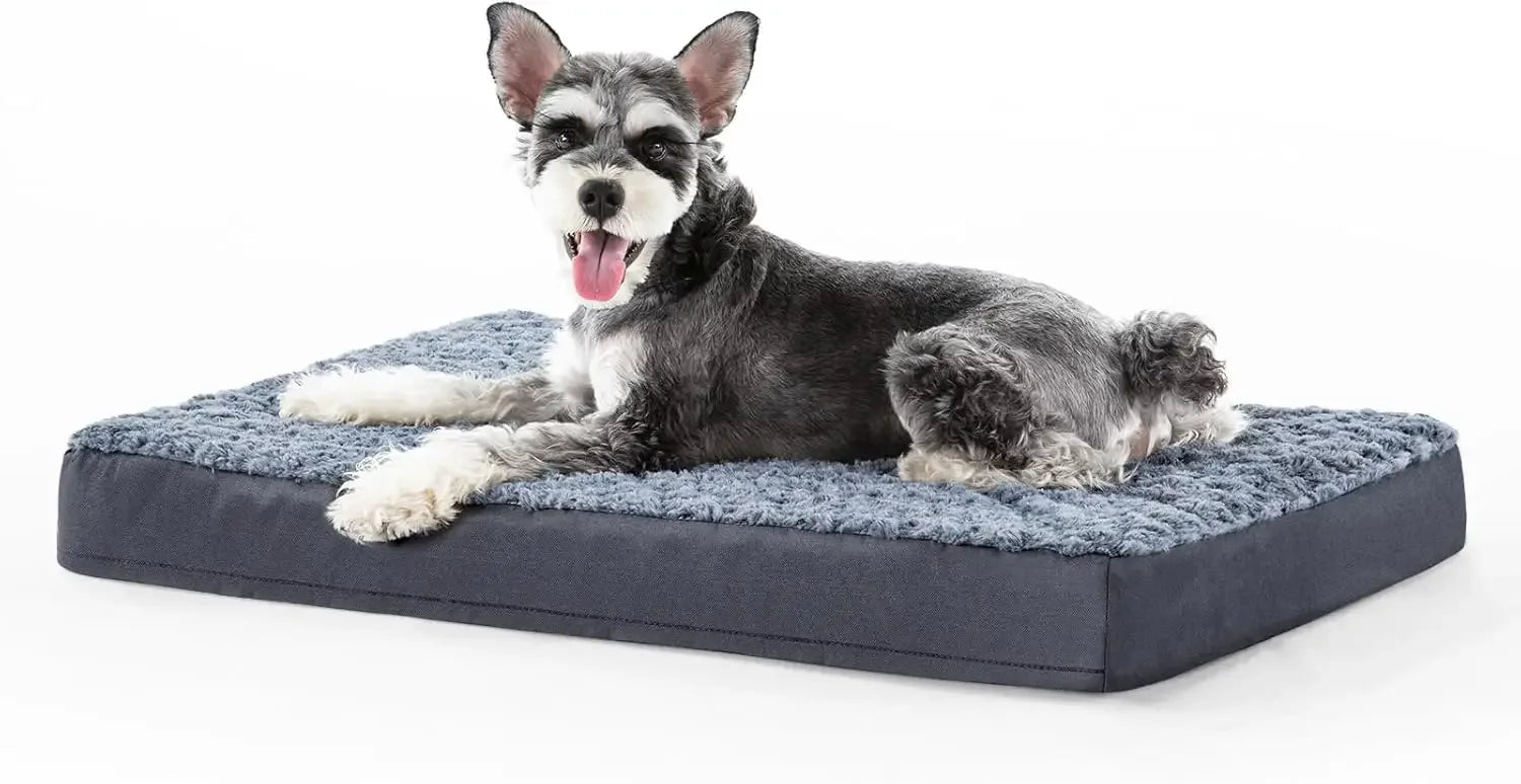 Large Egg Crate Foam Dog Bed with Waterproof Cover
