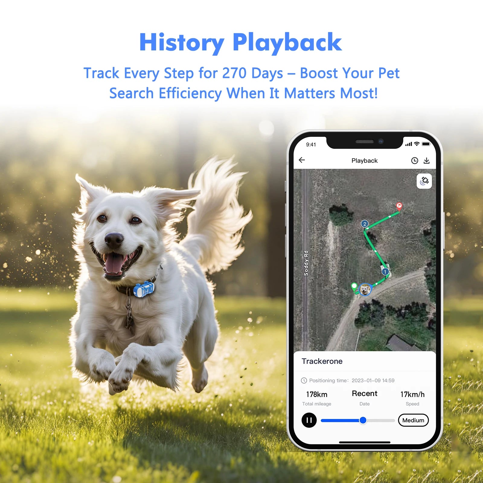 4G Waterproof GPS Tracker for Dogs & Cats