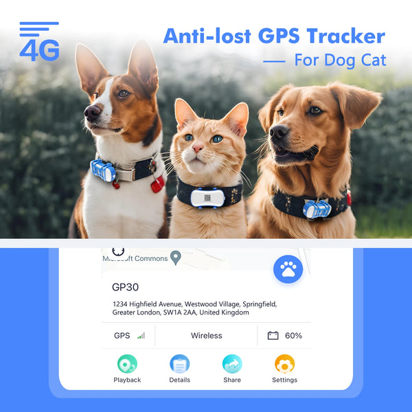 4G Waterproof GPS Tracker for Dogs & Cats