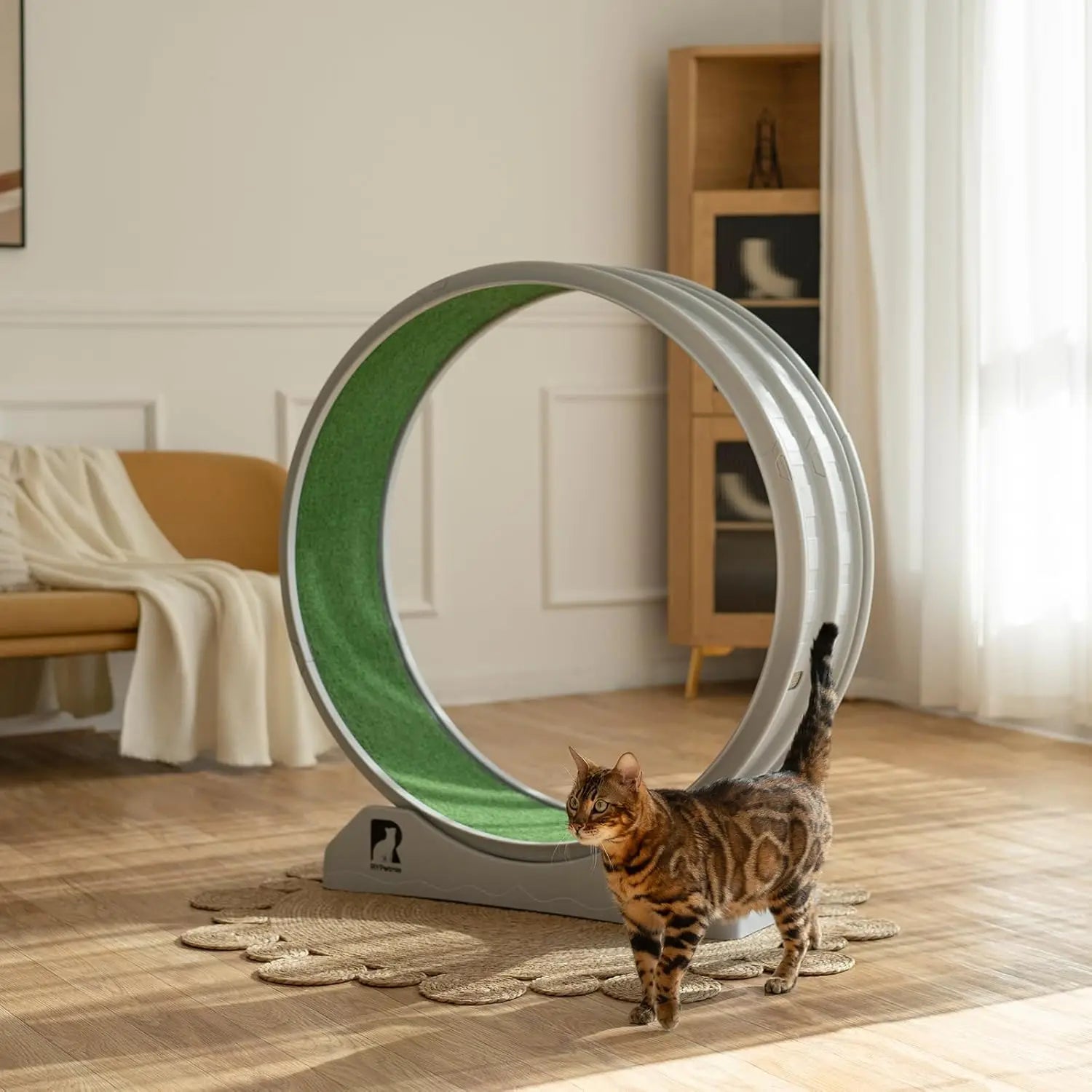 Cat Exercise Wheel with Carpeted Runway – Indoor Fitness