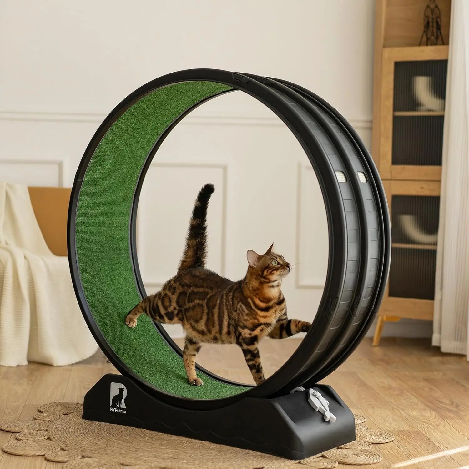 Cat Exercise Wheel with Carpeted Runway – Indoor Fitness