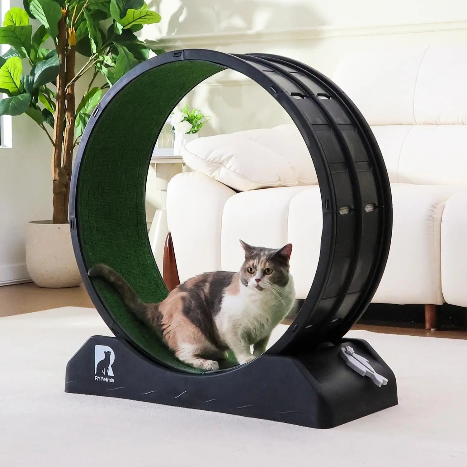 Cat Exercise Wheel with Carpeted Runway – Indoor Fitness