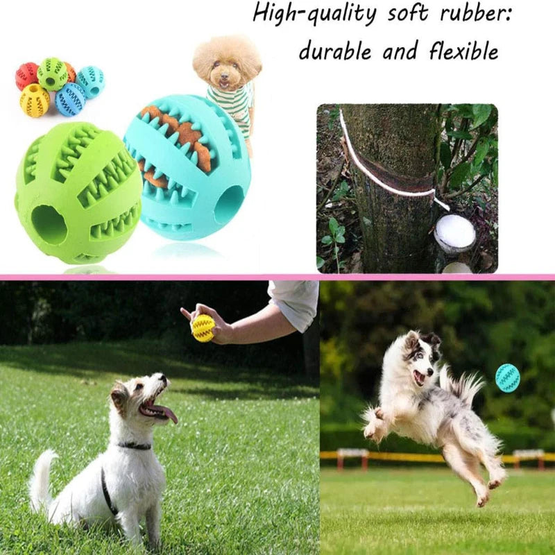 Interactive Rubber Chew Ball with Treat Feeder
