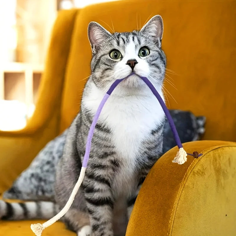 Durable Cat Bite & Teeth Grinding Rope Toy