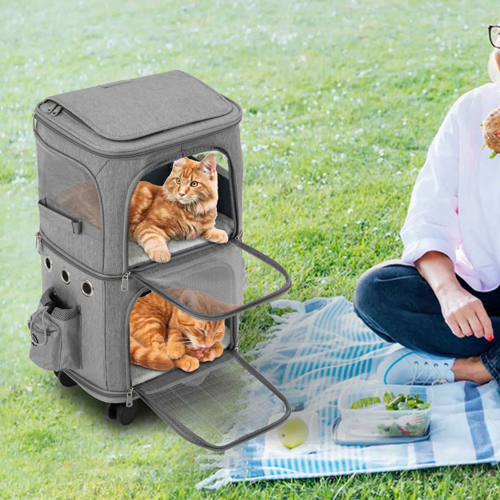 Double-Compartment Cat Carrier with Wheels