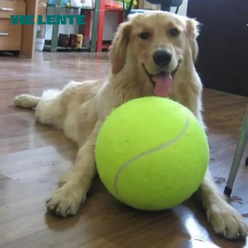 Giant Dog Tennis Ball – Jumbo Chew Toy