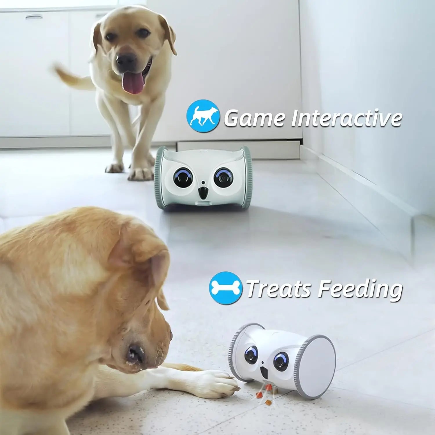 Interactive Pet Camera with Treat Dispenser – Mobile Controlled