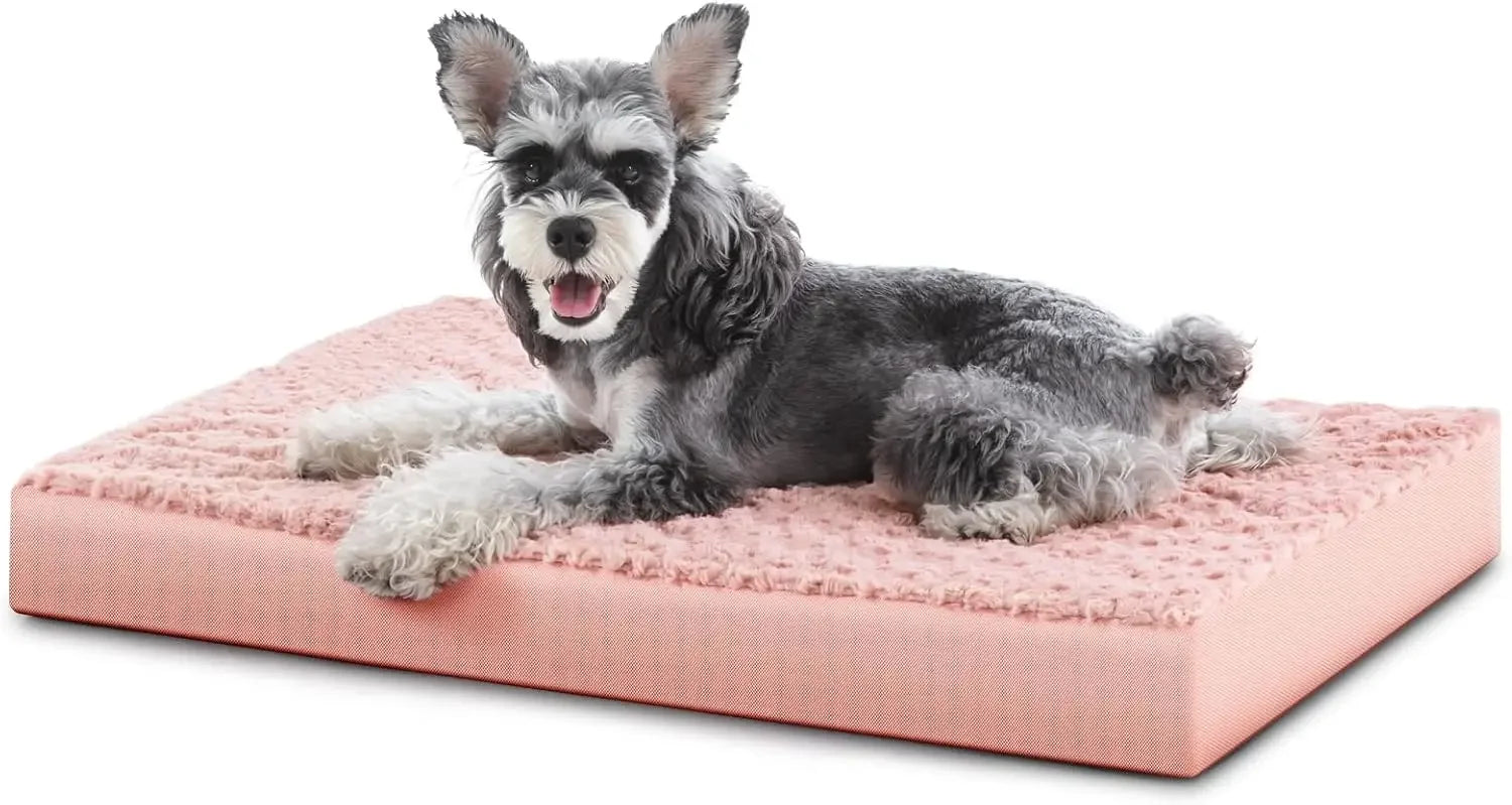 Large Egg Crate Foam Dog Bed with Waterproof Cover