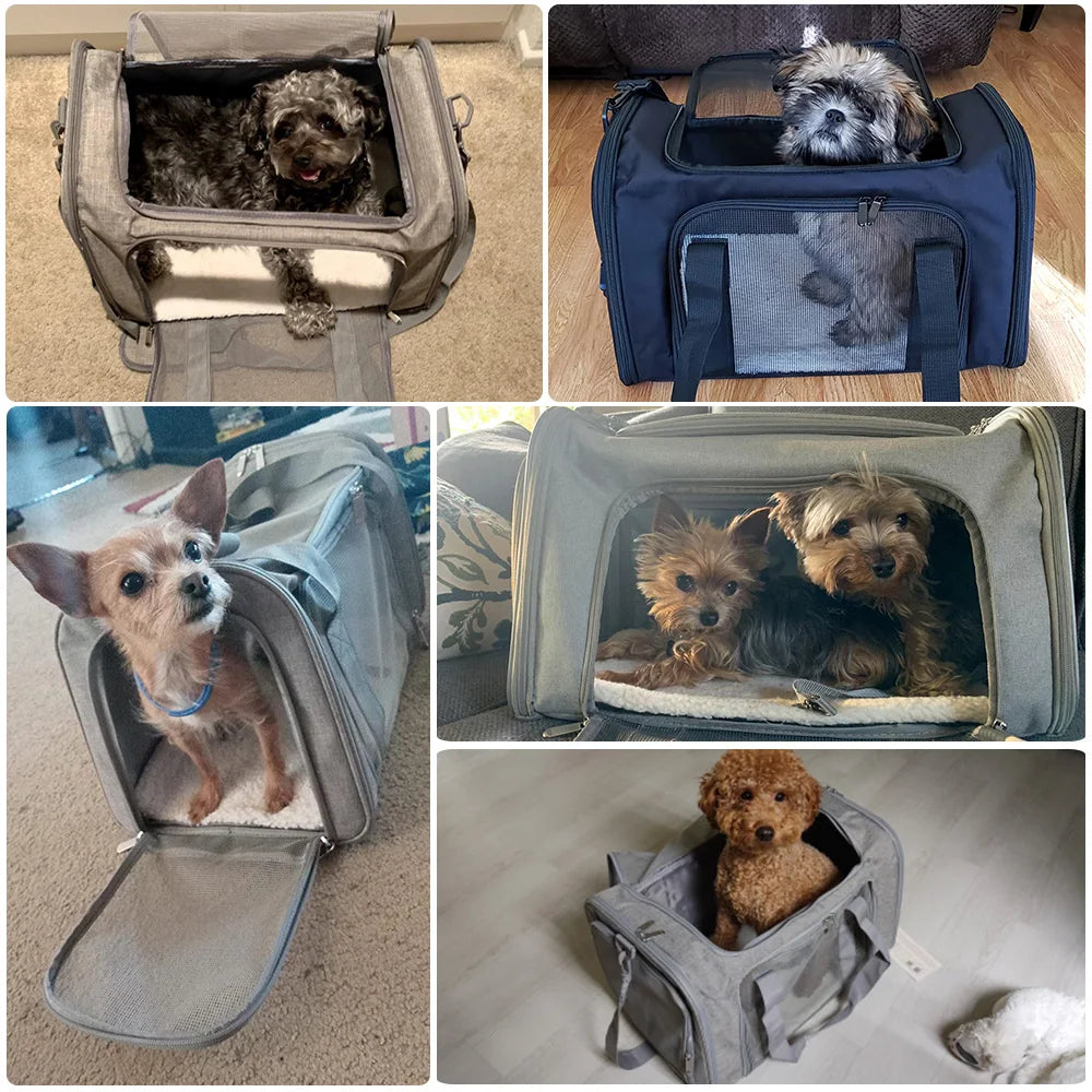 Airline Approved Soft Dog & Cat Carrier Backpack