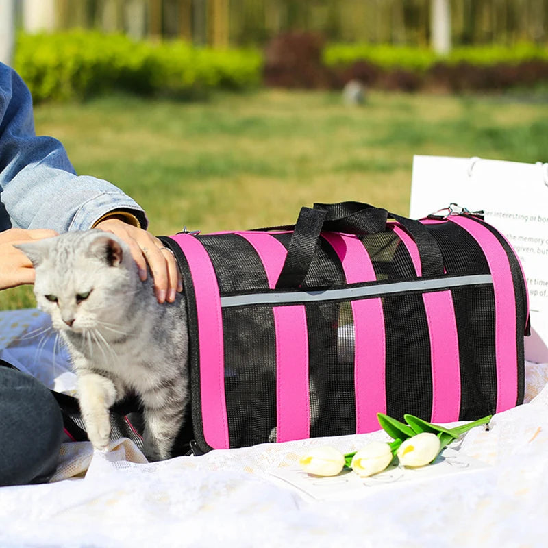 Portable Foldable Pet Handbag