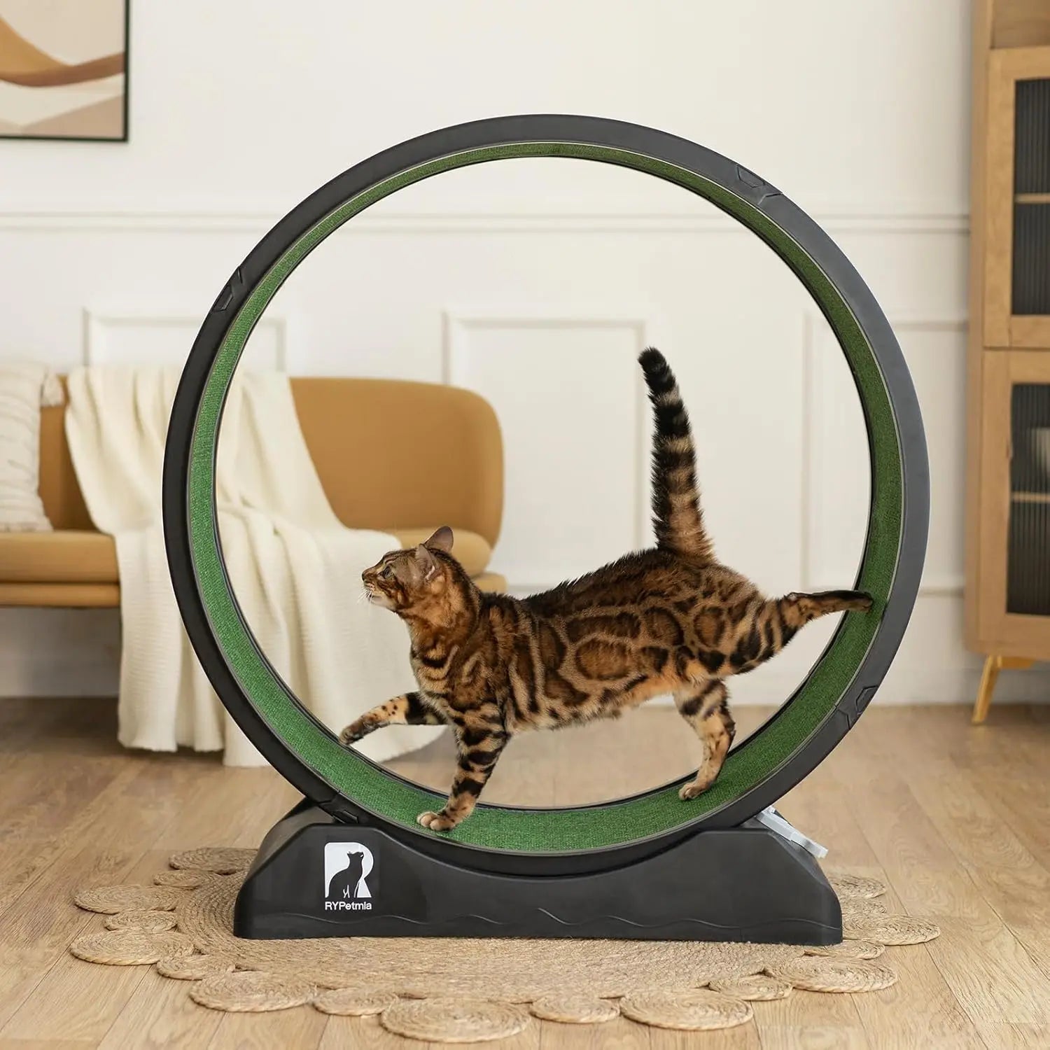 Cat Exercise Wheel with Carpeted Runway – Indoor Fitness