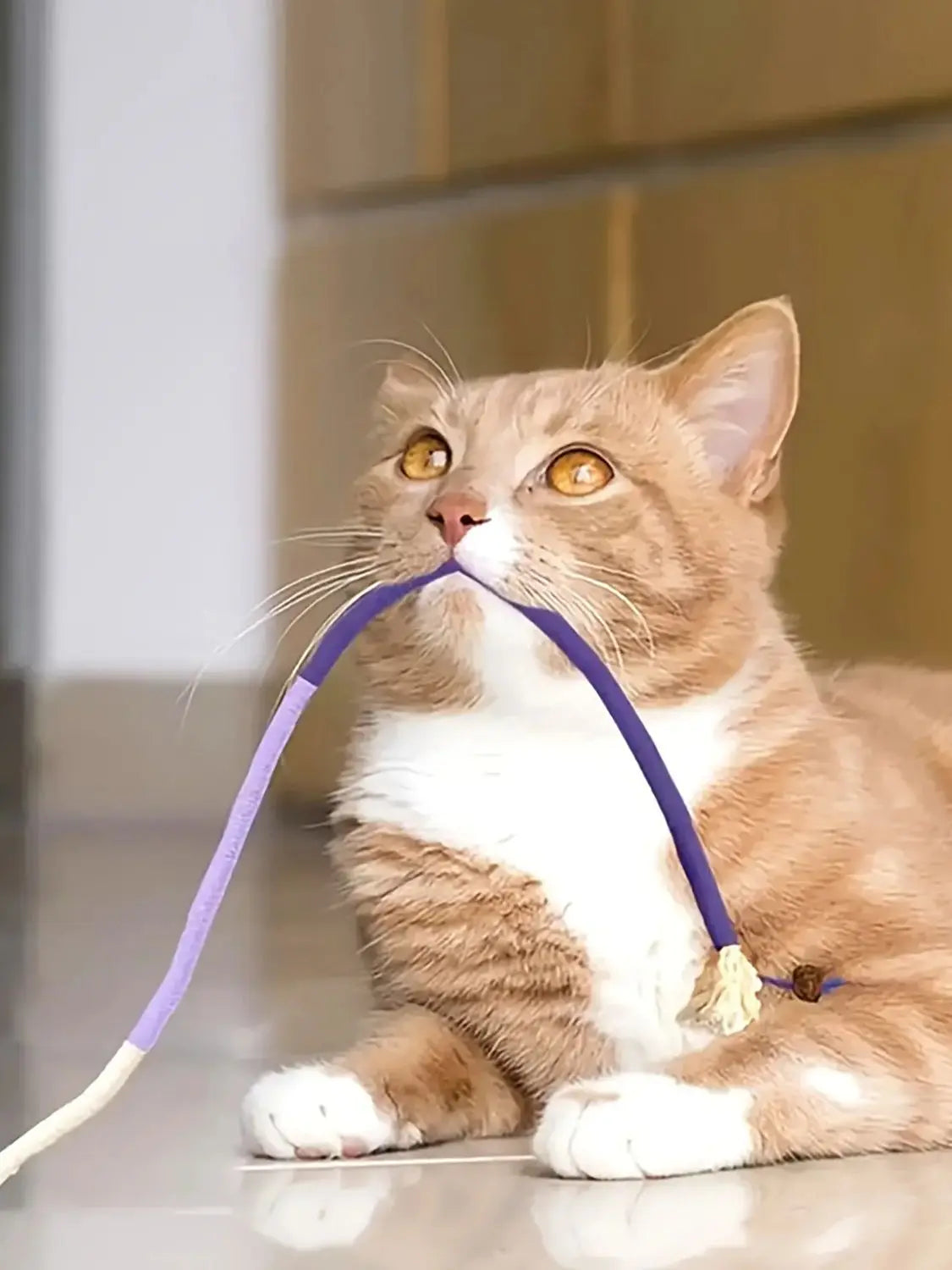 Durable Cat Bite & Teeth Grinding Rope Toy